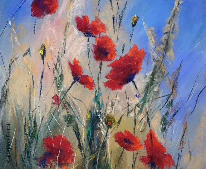 "Proud carnations"