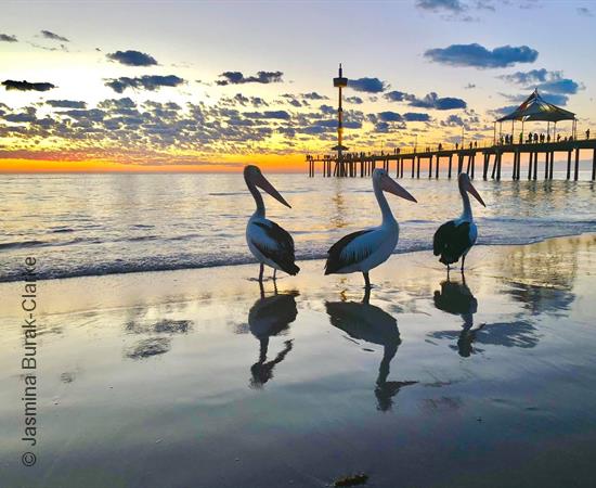 Brighton beach, Adelaide Australia